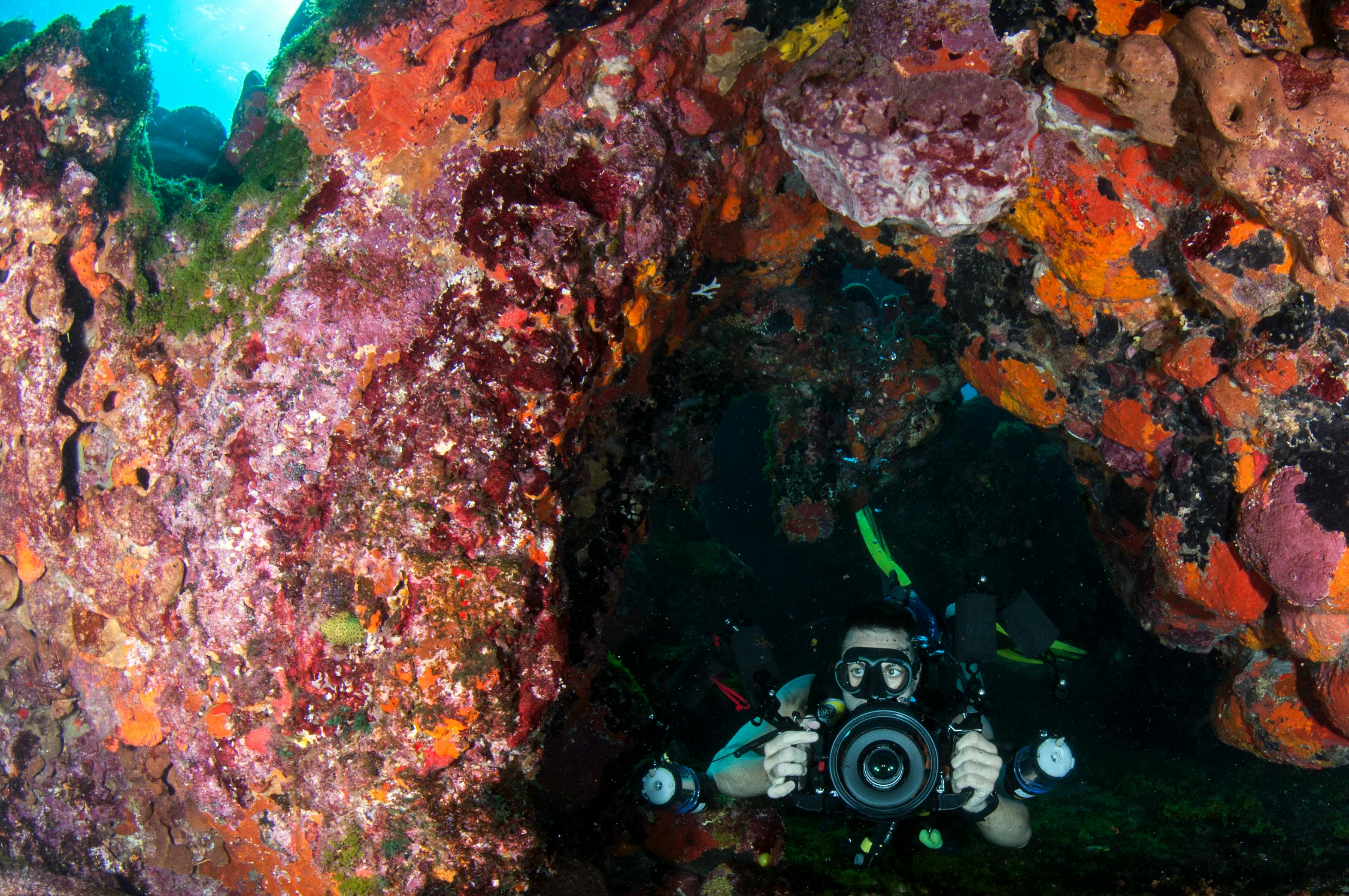 Guide pratique : Sélectionner la caméra sous-marine idéale et ses accessoires